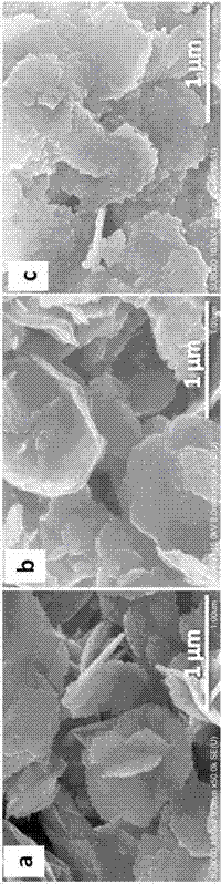 Method for one-step hydrothermal synthesis of different-morphology bismuth tungstate two-dimensional photocatalytic materials