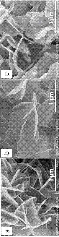 Method for one-step hydrothermal synthesis of different-morphology bismuth tungstate two-dimensional photocatalytic materials