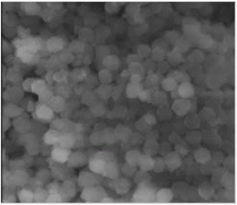 Preparation method and products of non-noble metal catalyst