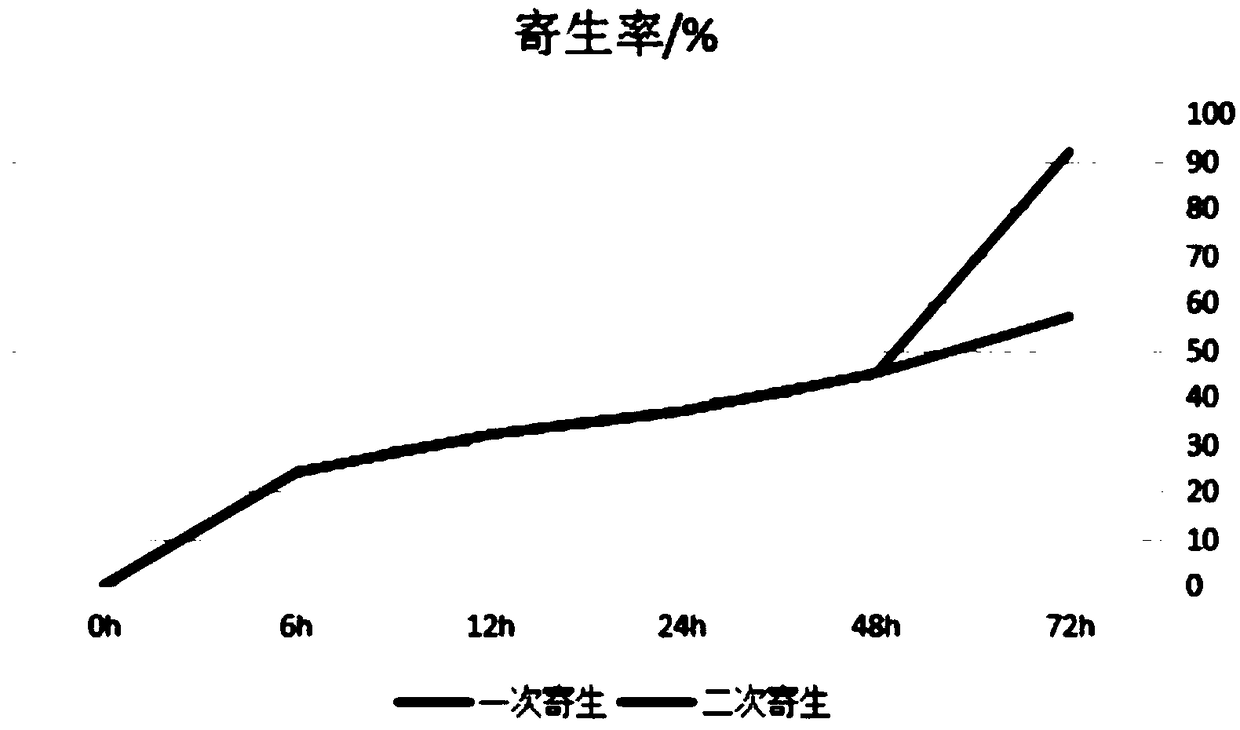 Method for raising apanteles glomeratus