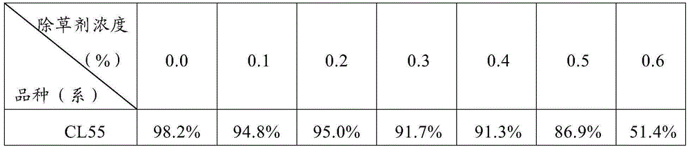 Method used for breeding imidazolinone herbicide-resistant japonica rice