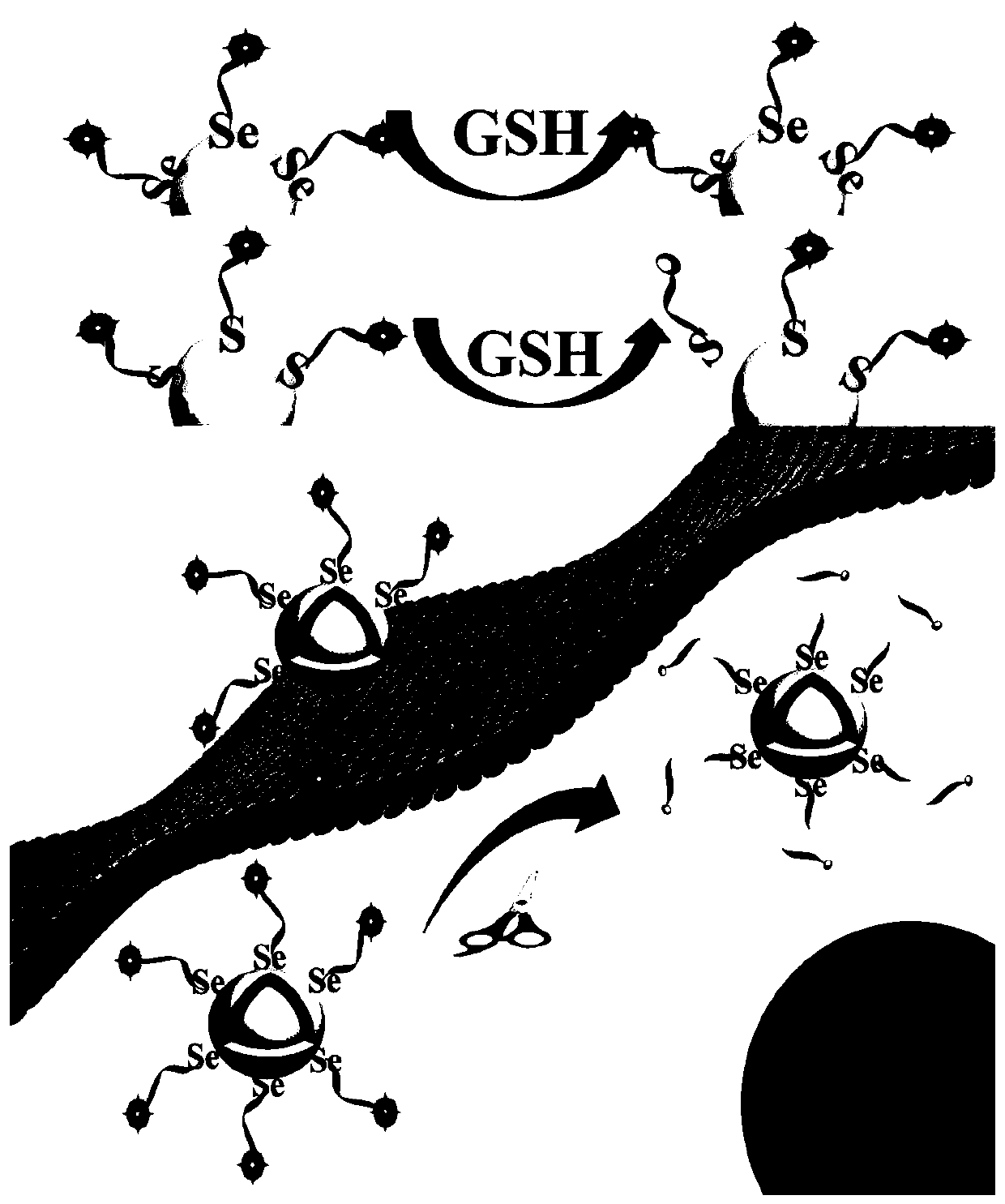 SERS sensor based on Au-Se interface for quantitative detection of ultra-sensitive and high-fidelity biological molecules