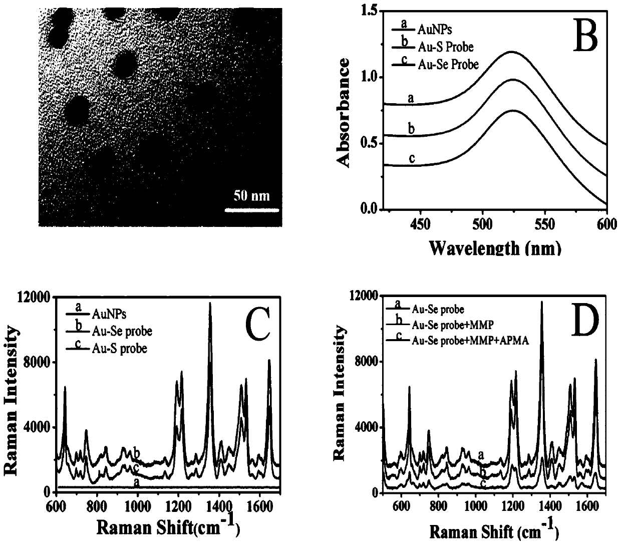 SERS sensor based on Au-Se interface for quantitative detection of ultra-sensitive and high-fidelity biological molecules