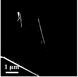 A polyatomic co-doped porous carbon nanosheet electrode material and its preparation method and application