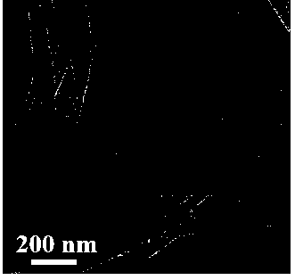 A polyatomic co-doped porous carbon nanosheet electrode material and its preparation method and application