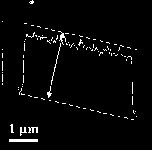 A polyatomic co-doped porous carbon nanosheet electrode material and its preparation method and application