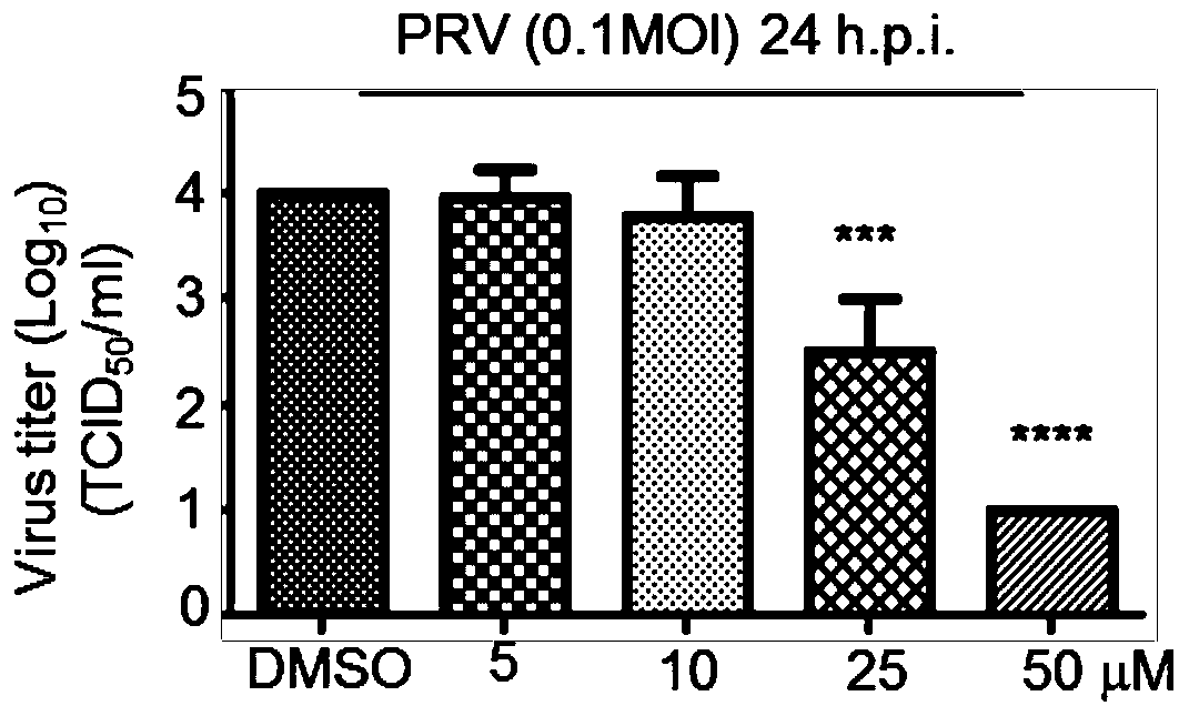 Broad-spectrum antiviral drug or composition