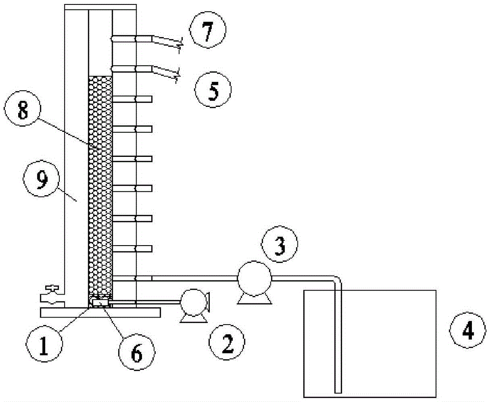 Method for starting up whole-course autotrophic nitrogen removal filter column