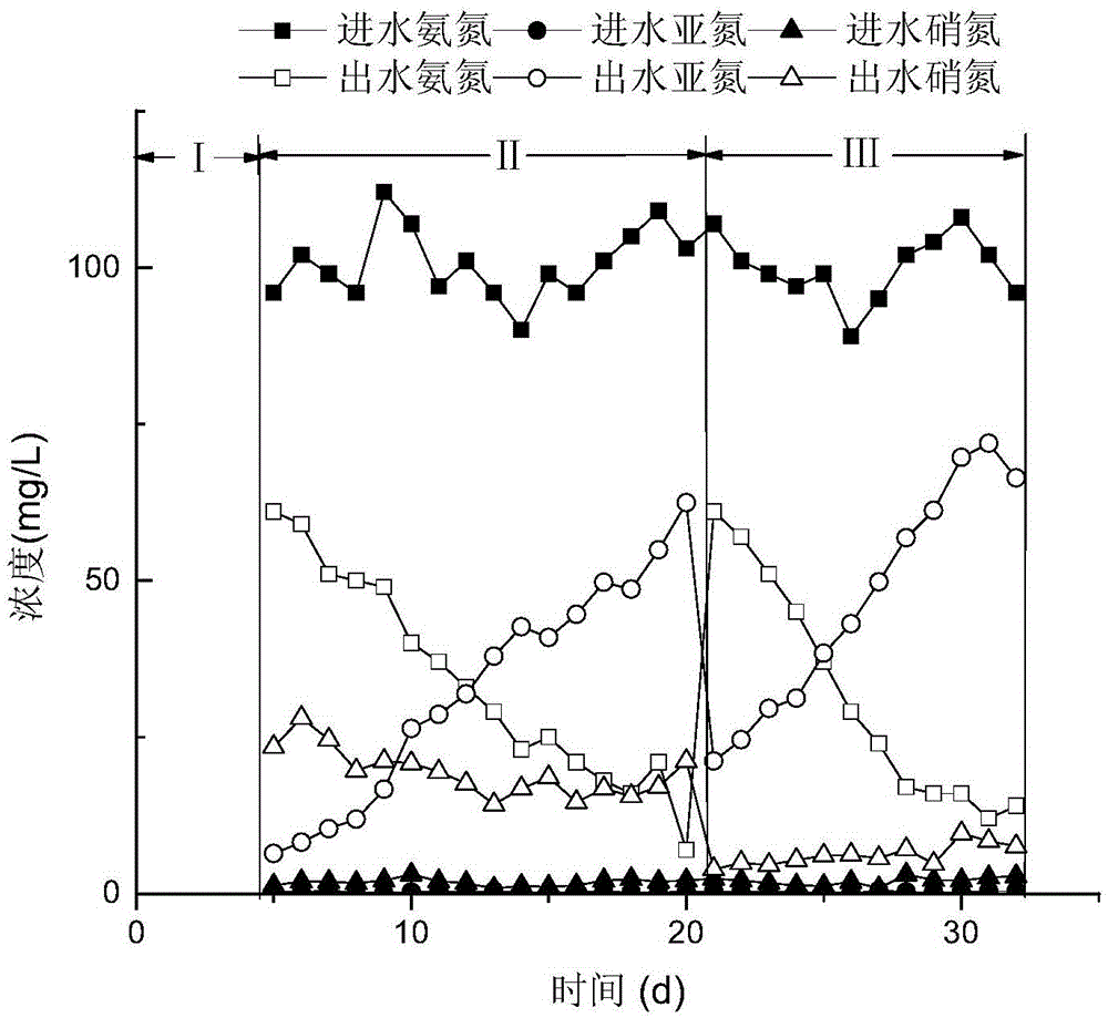 Method for starting up whole-course autotrophic nitrogen removal filter column