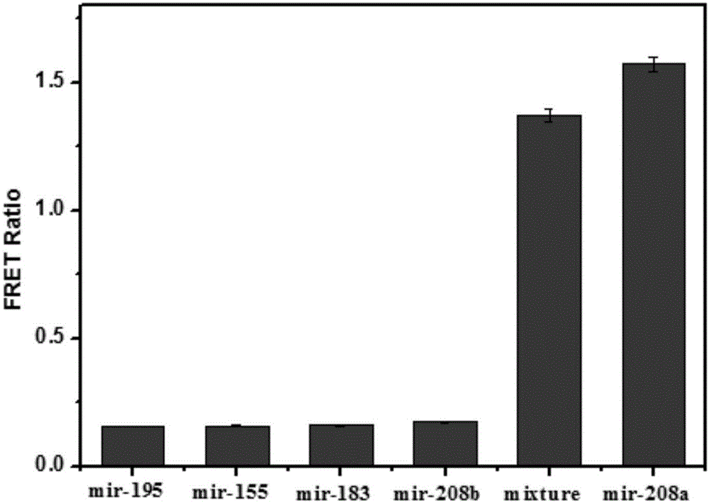 Fluorescent resonance probe and application and kit thereof