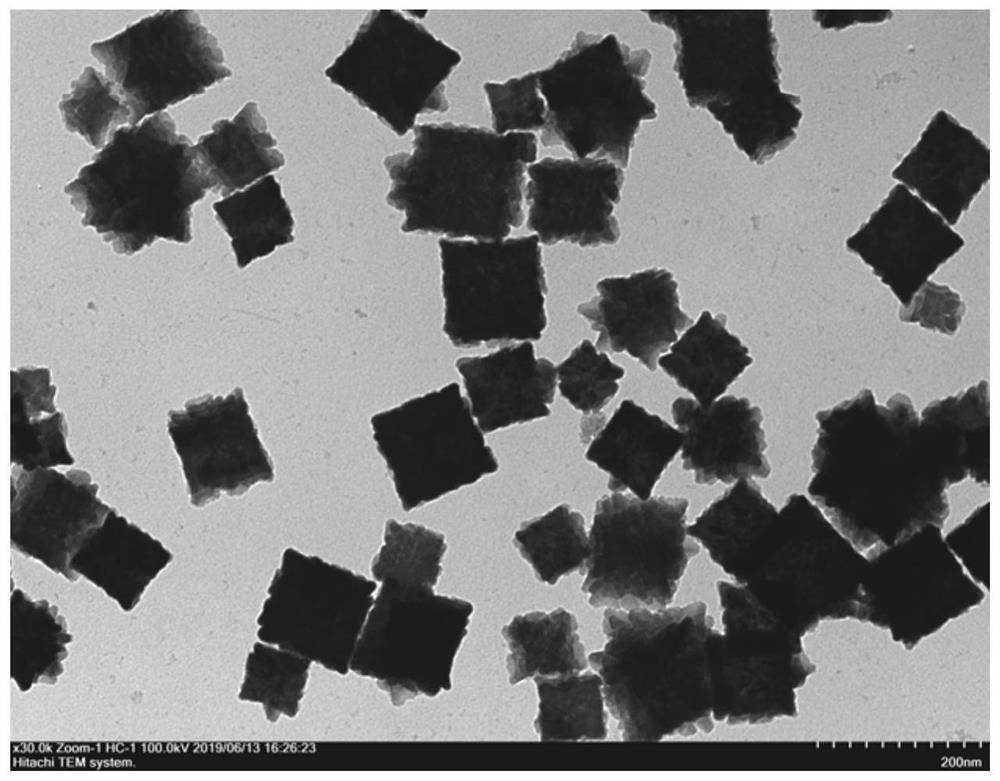 Fluorine-doped iron oxide nanoparticle contrast agent and preparation method thereof