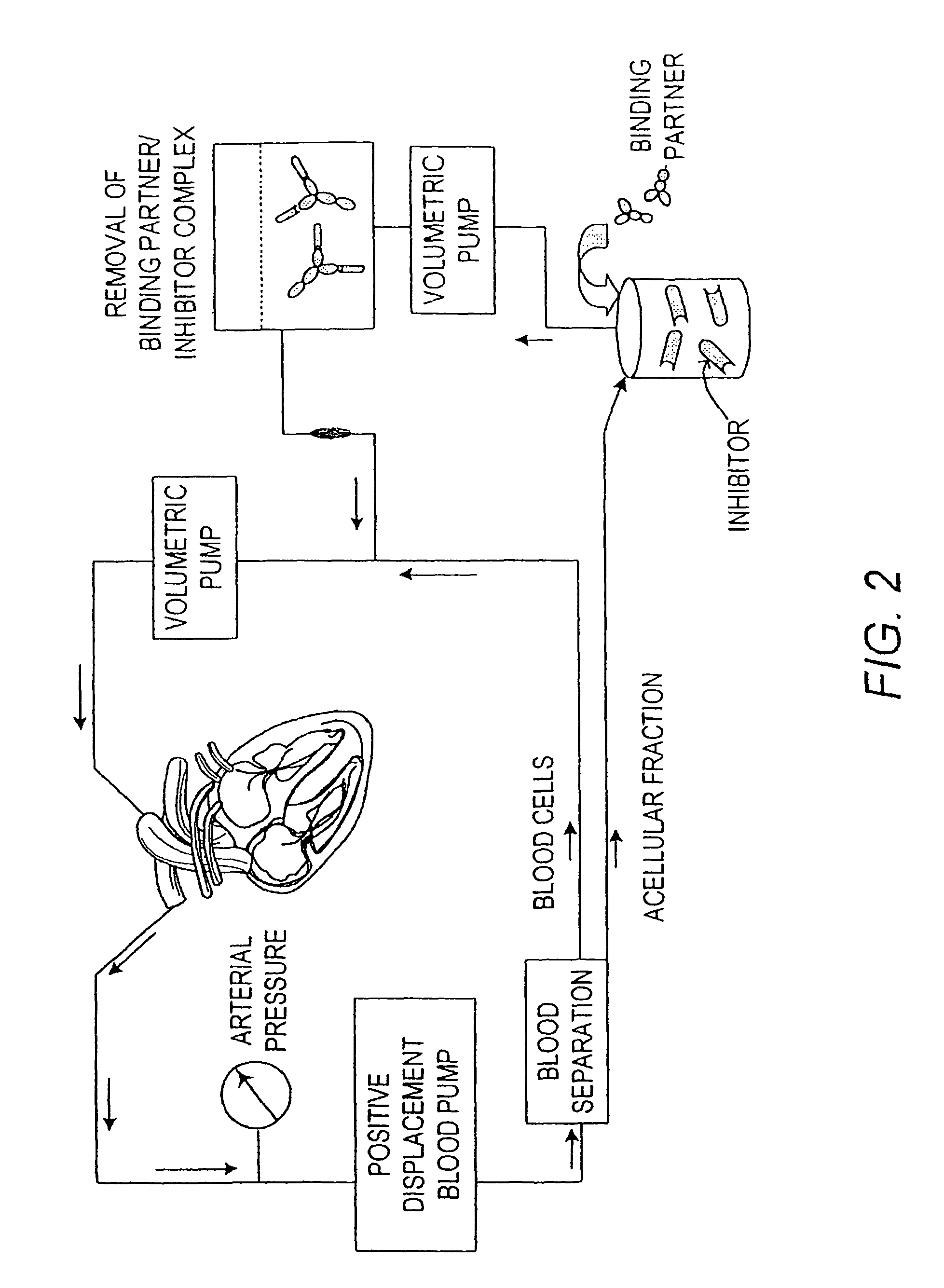 Immobilized tumor necrosis factor-alpha muteins for enhancing immune response in mammals