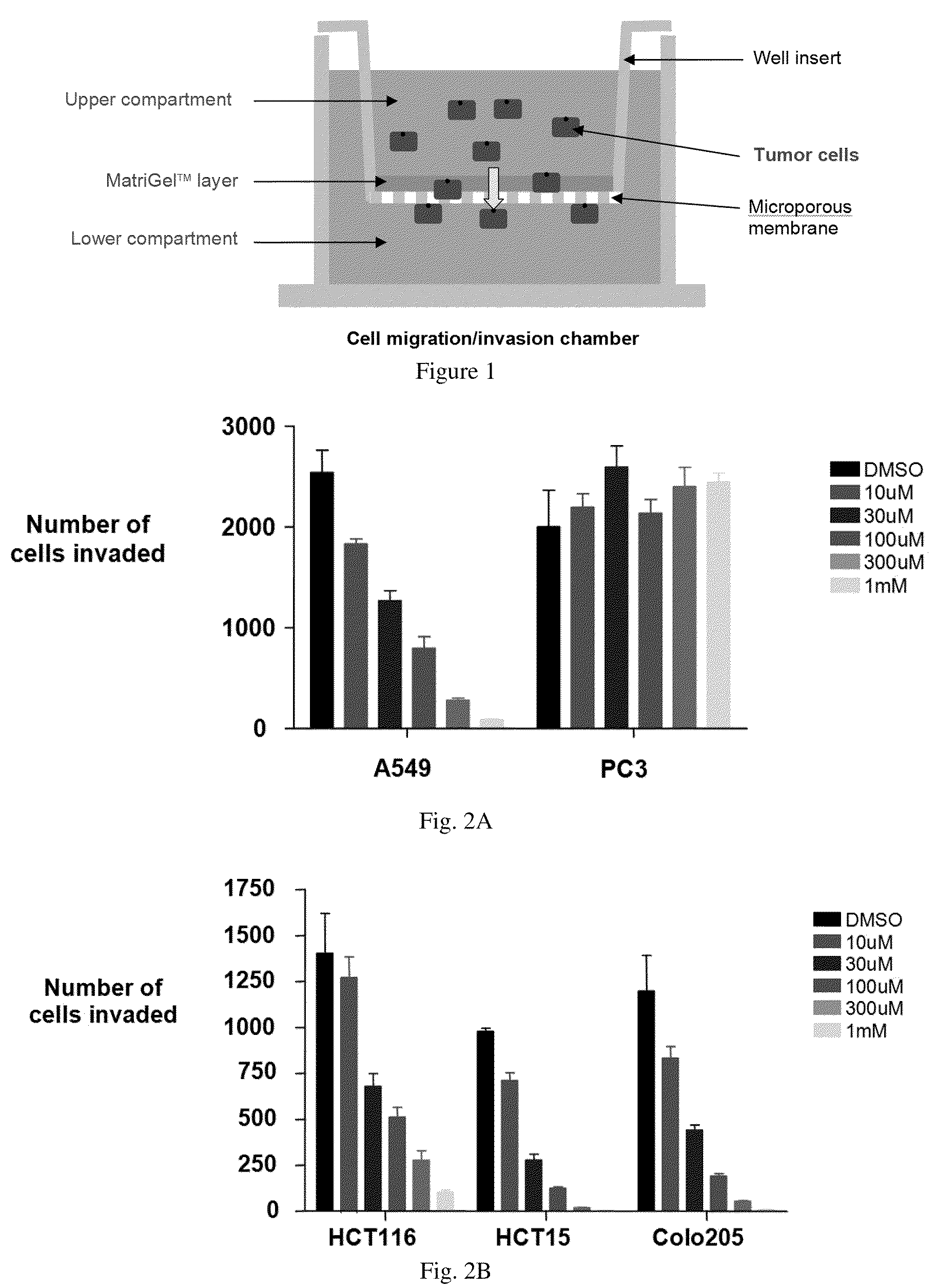 Treatment of metastatic tumors and other conditions