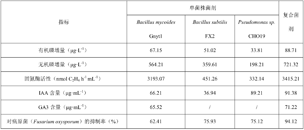 Special mixed-strain microbial fertilizer for onobrychis viciifolia and preparation method thereof