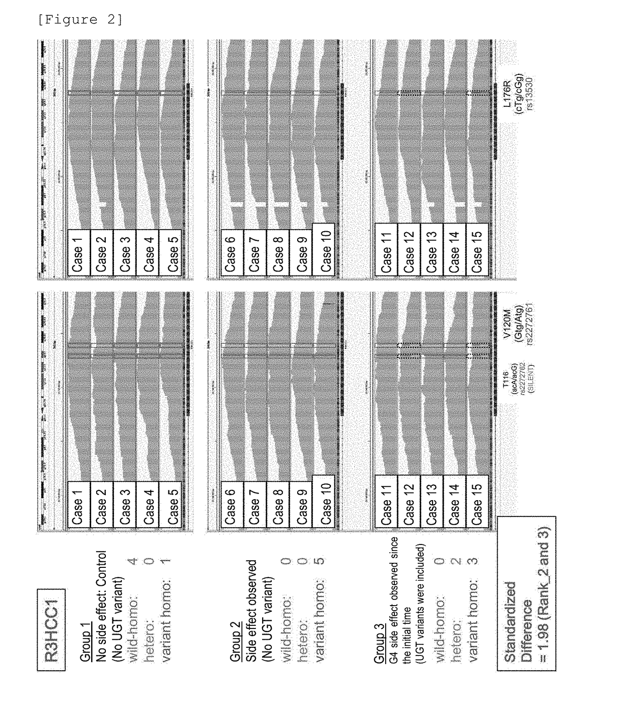 Method for assisting prediction of risk of occurrence of side effect of irinotecan