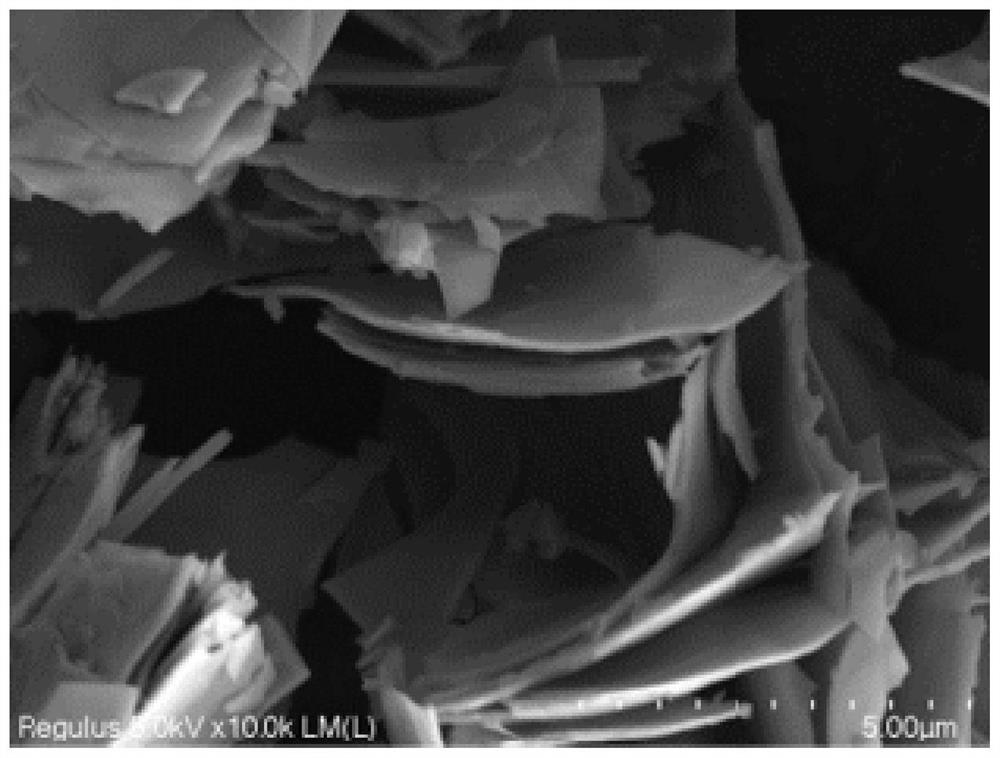 Nano bismuth/nitrogen-doped carbon foam nanosheet two-dimensional composite material as well as preparation method and application thereof