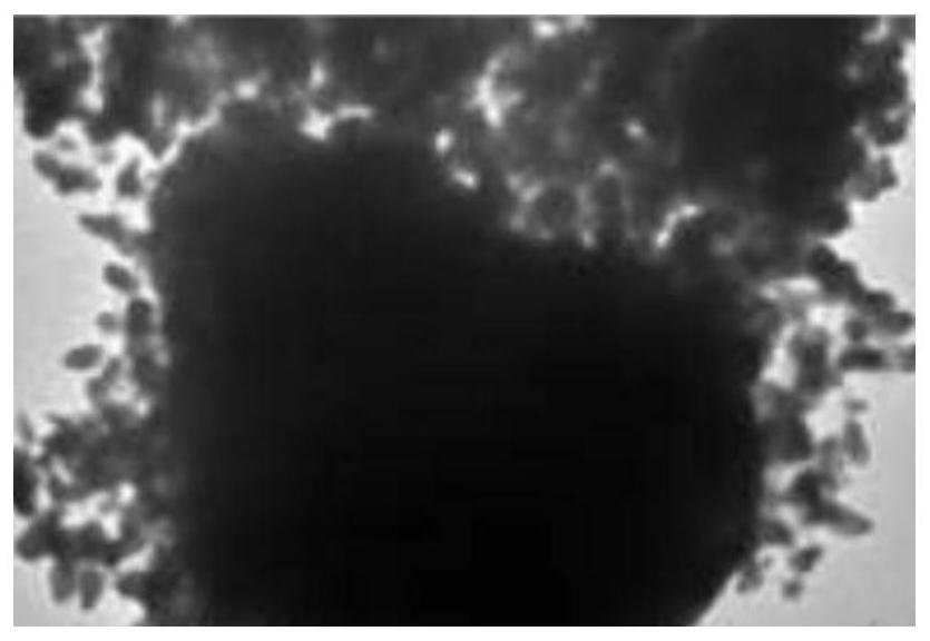 Preparation method of CoFe2O4/F-Ag2MoO4 composite material