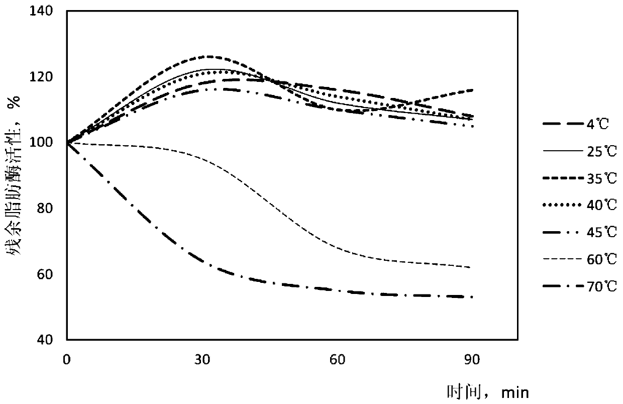 A kind of lipase derived from Cladosporium, its coding gene sequence and use thereof