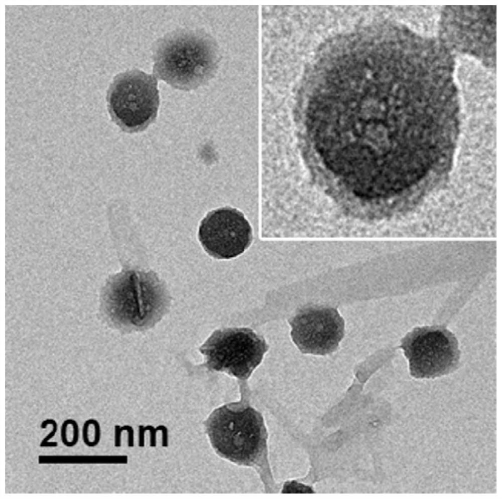 Nanovesicle drug formed by self-assembly and its preparation method and application