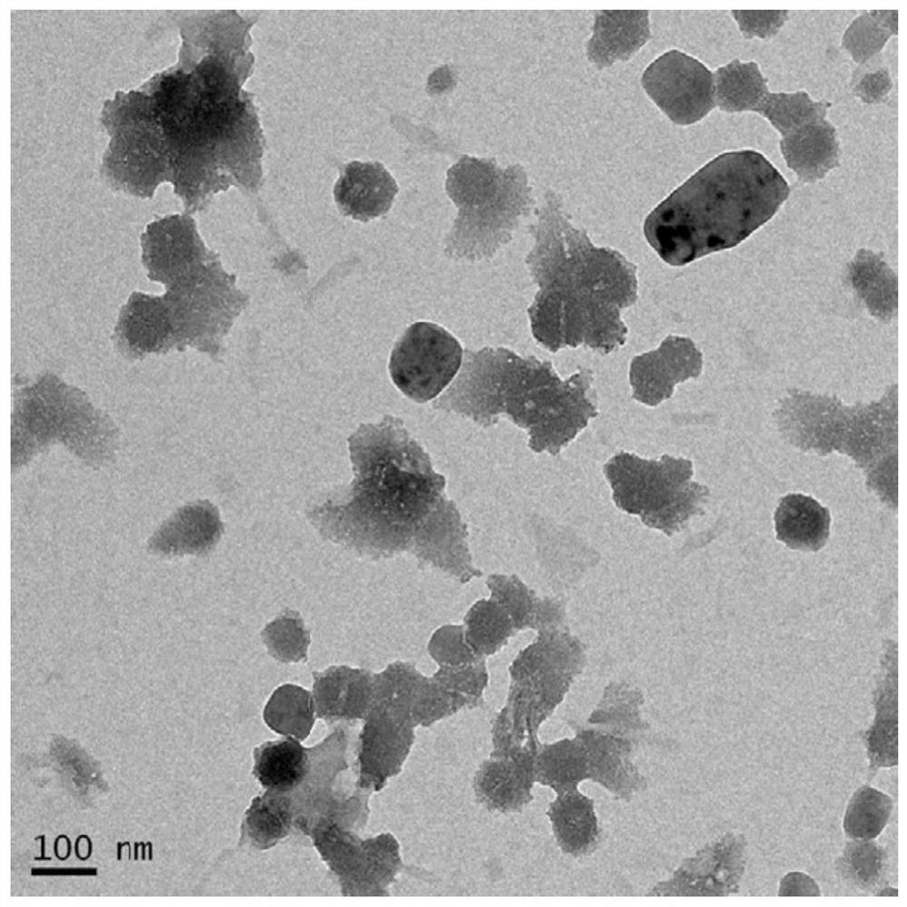 Nanovesicle drug formed by self-assembly and its preparation method and application