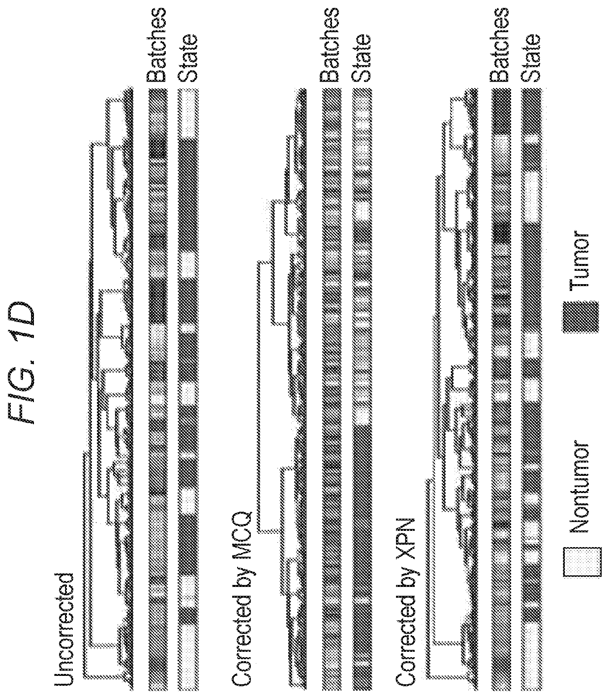 Method of classifying and diagnosing cancer