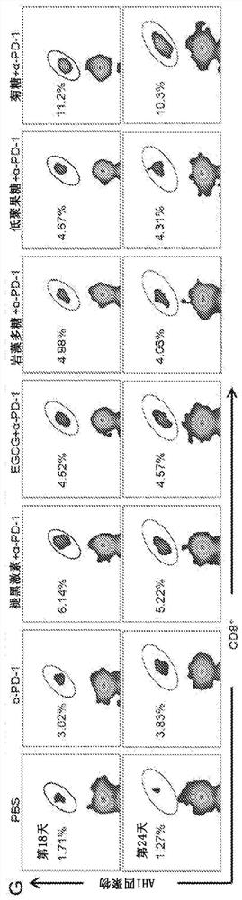 Compositions and methods for enhancing immunotherapy and vaccine efficacy