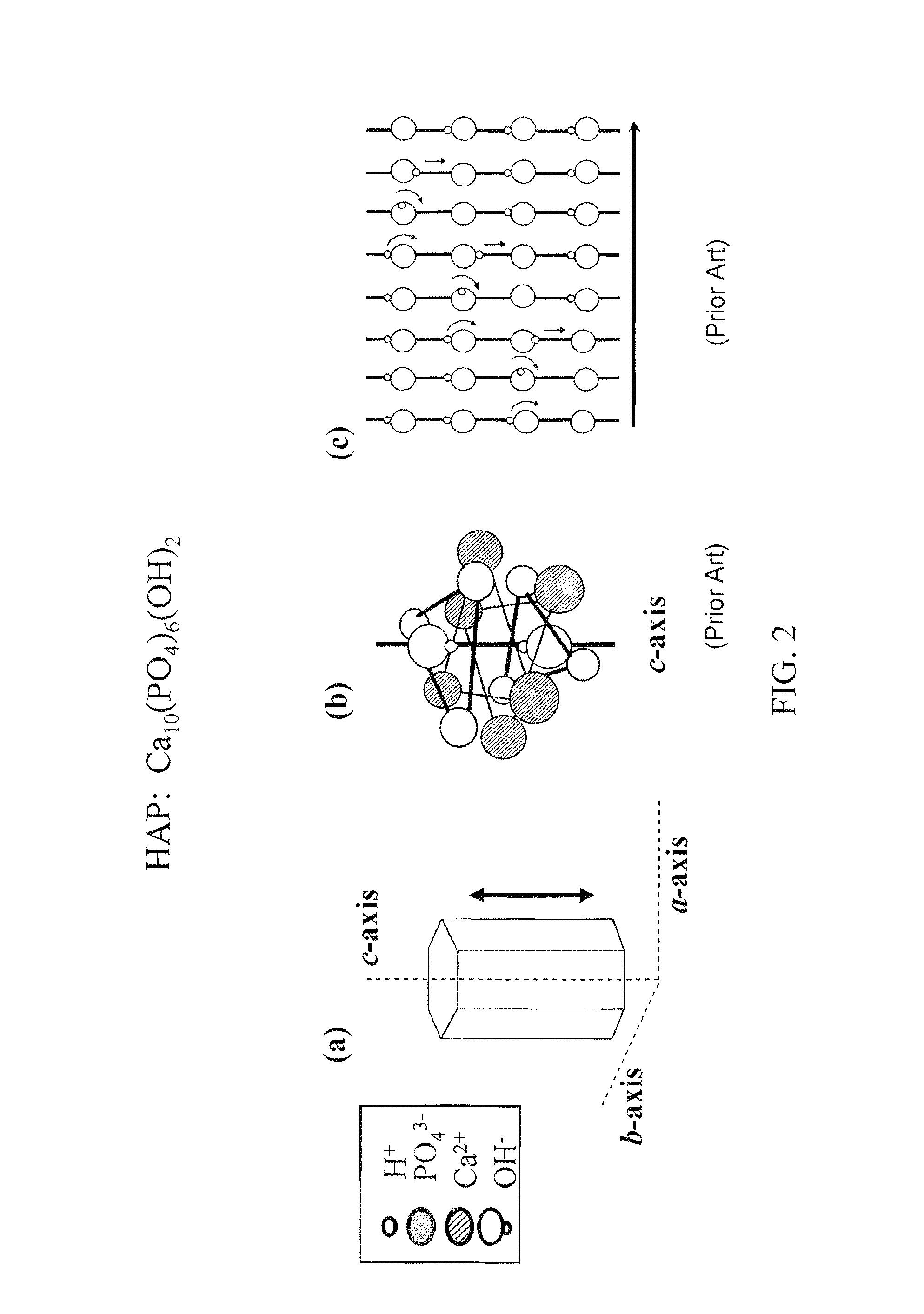 Ion/proton-conducting apparatus and method