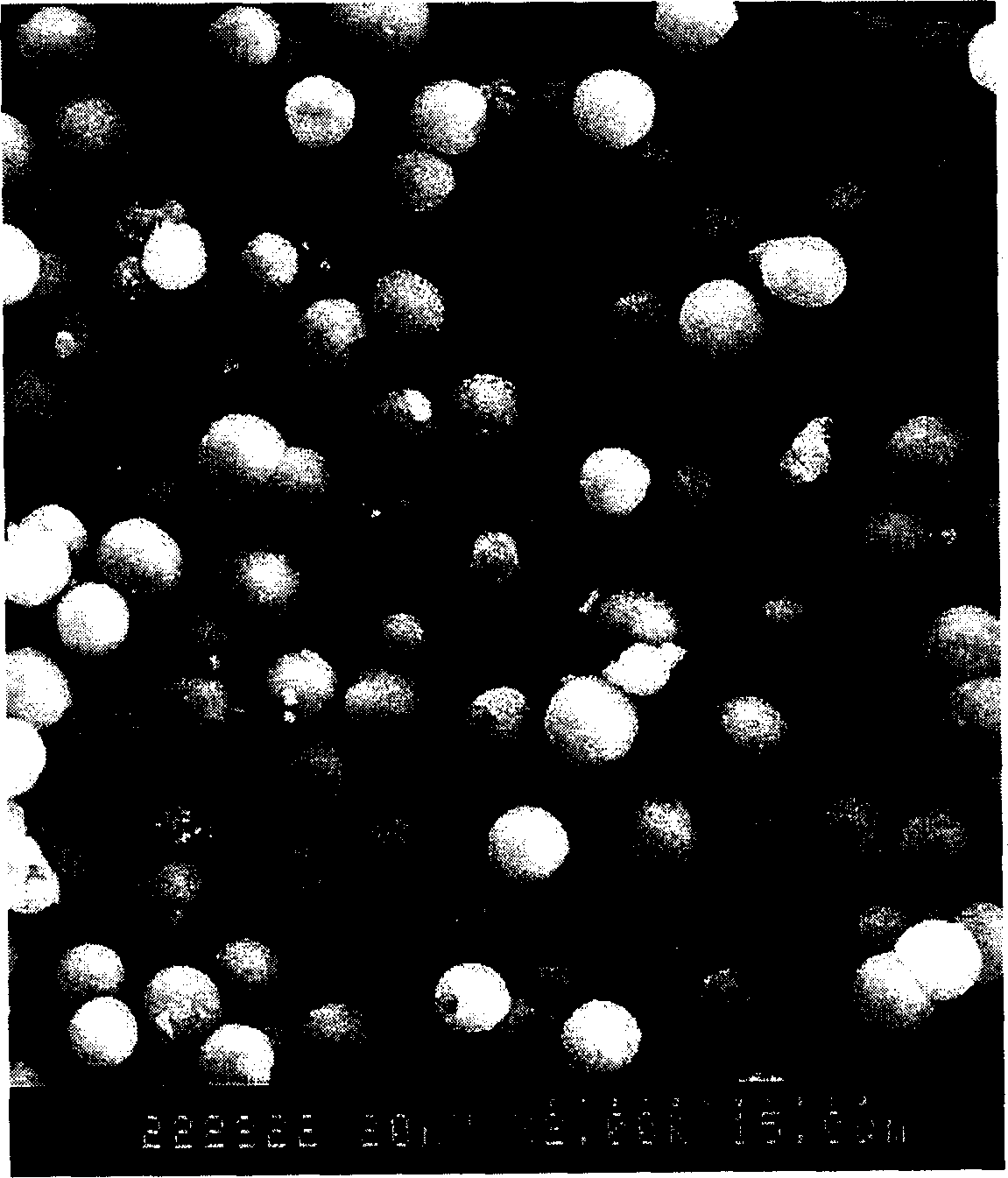 Ferromagnetic multiporous silica gel microsphere and its preparation method