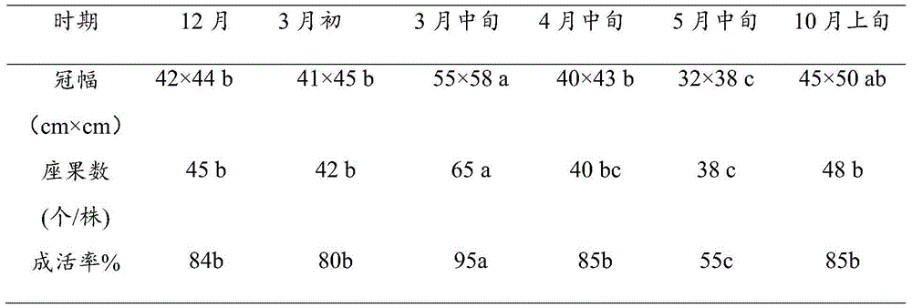 Method for culturing ornamental fruit rugosa tree