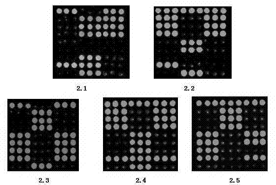 Gene chip for detecting 15 clinical common pathogenic microorganisms