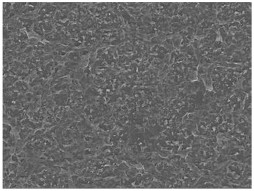 Composite nanofiltration membrane as well as preparation method and application thereof