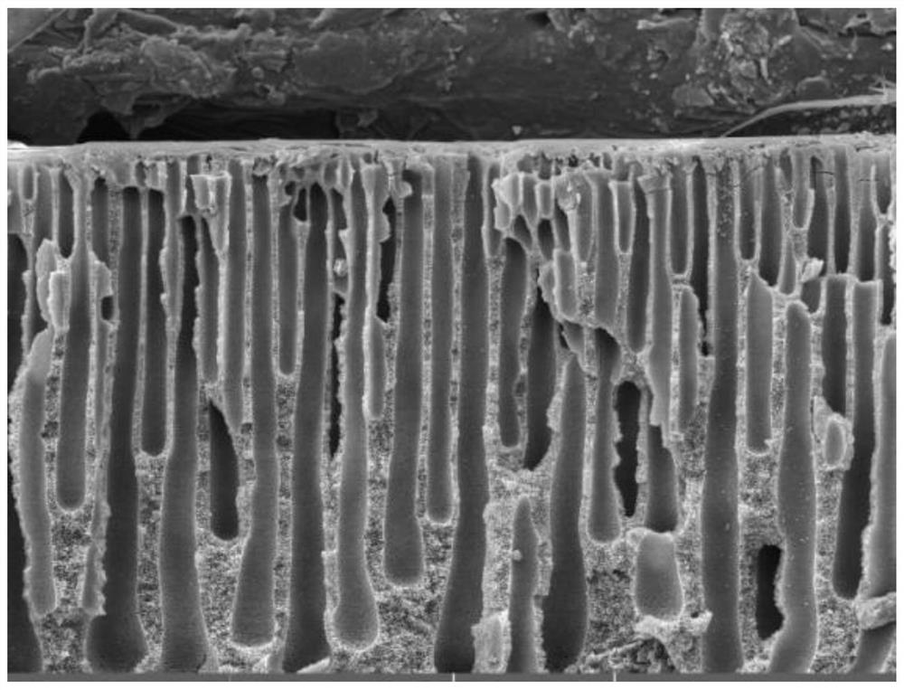 Composite nanofiltration membrane as well as preparation method and application thereof