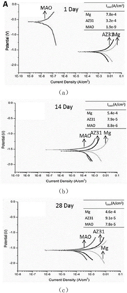 Application of magnesium material as oral cavity GTR or GBR membrane material