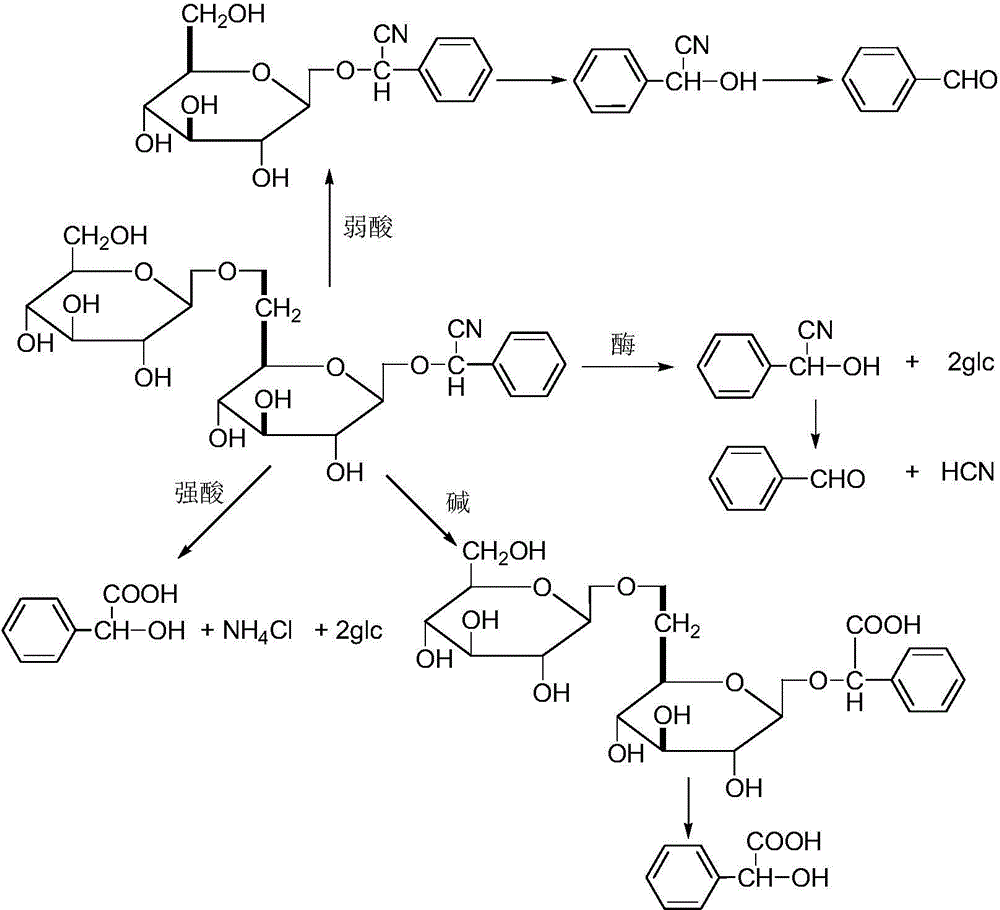 Bitter apricot kernel essential oil extraction method and application as plant pathogenic fungus inhibitor