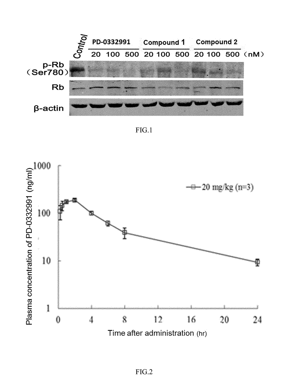 Pyrimidine or pyridopyridone compound and application thereof