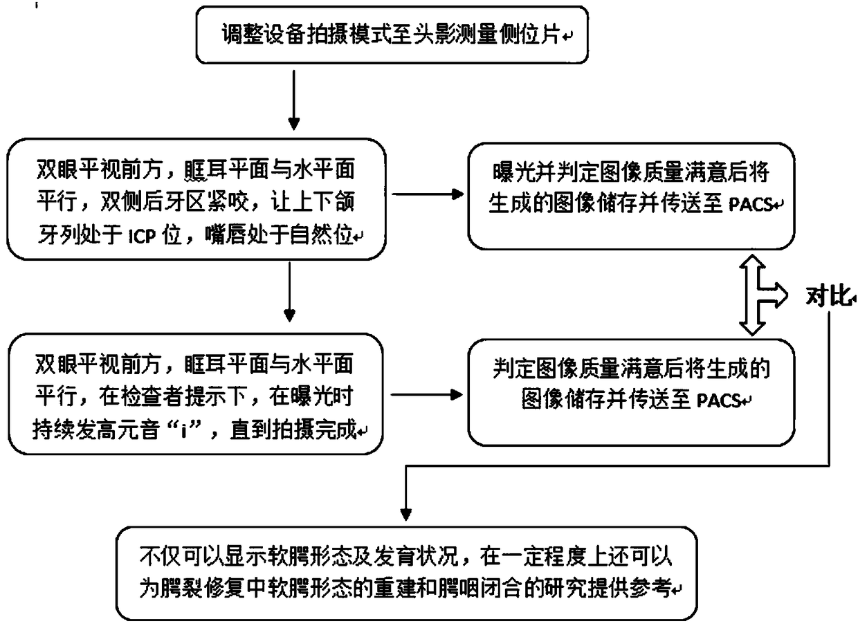 Soft palate morphology and development detection method