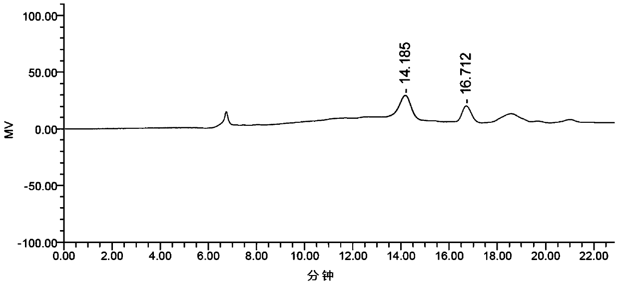 Lyophyllum decastes polysaccharide and preparation method and application thereof