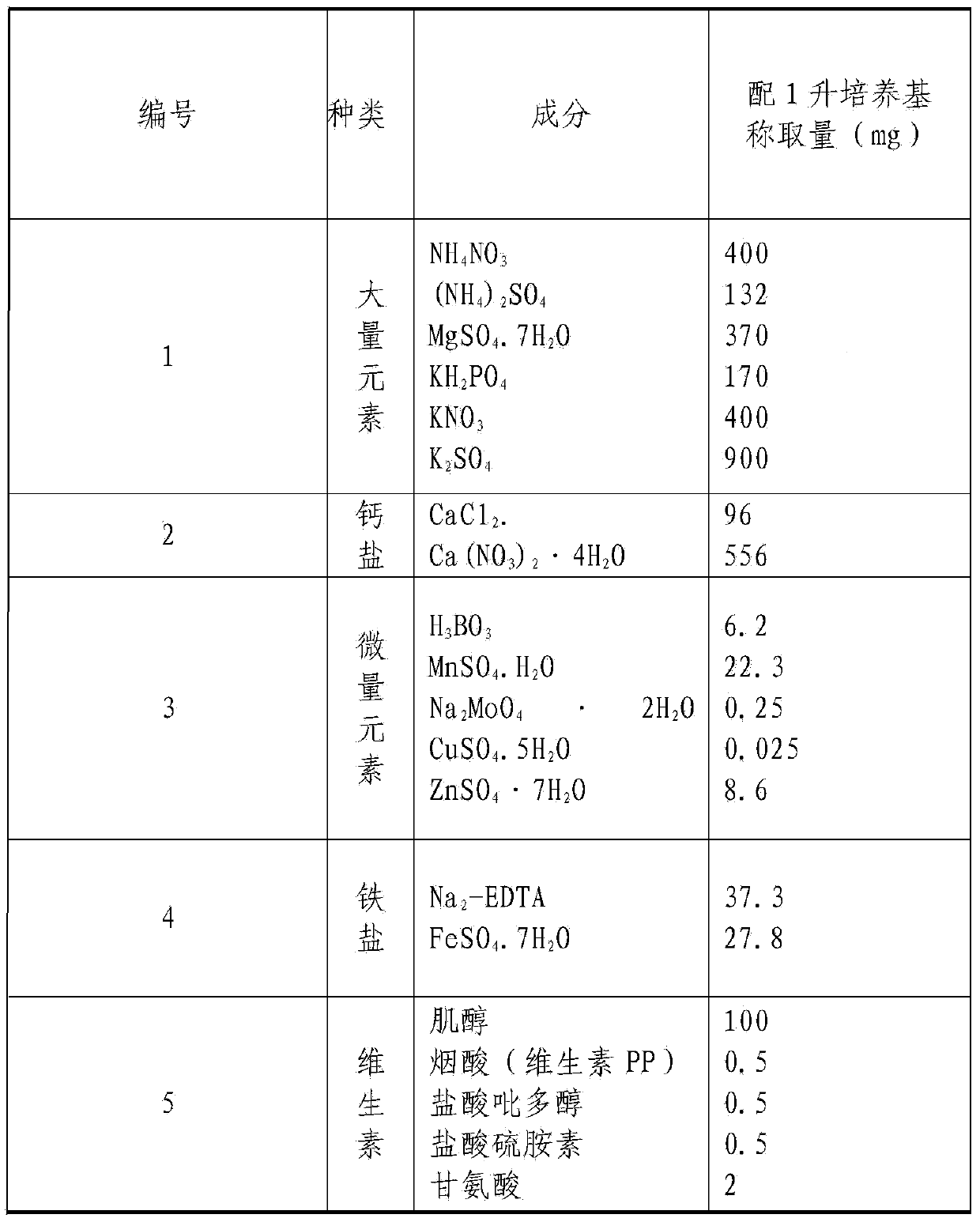 Rhododendron hybrides cosmopolitan tissue culture rapid propagation method