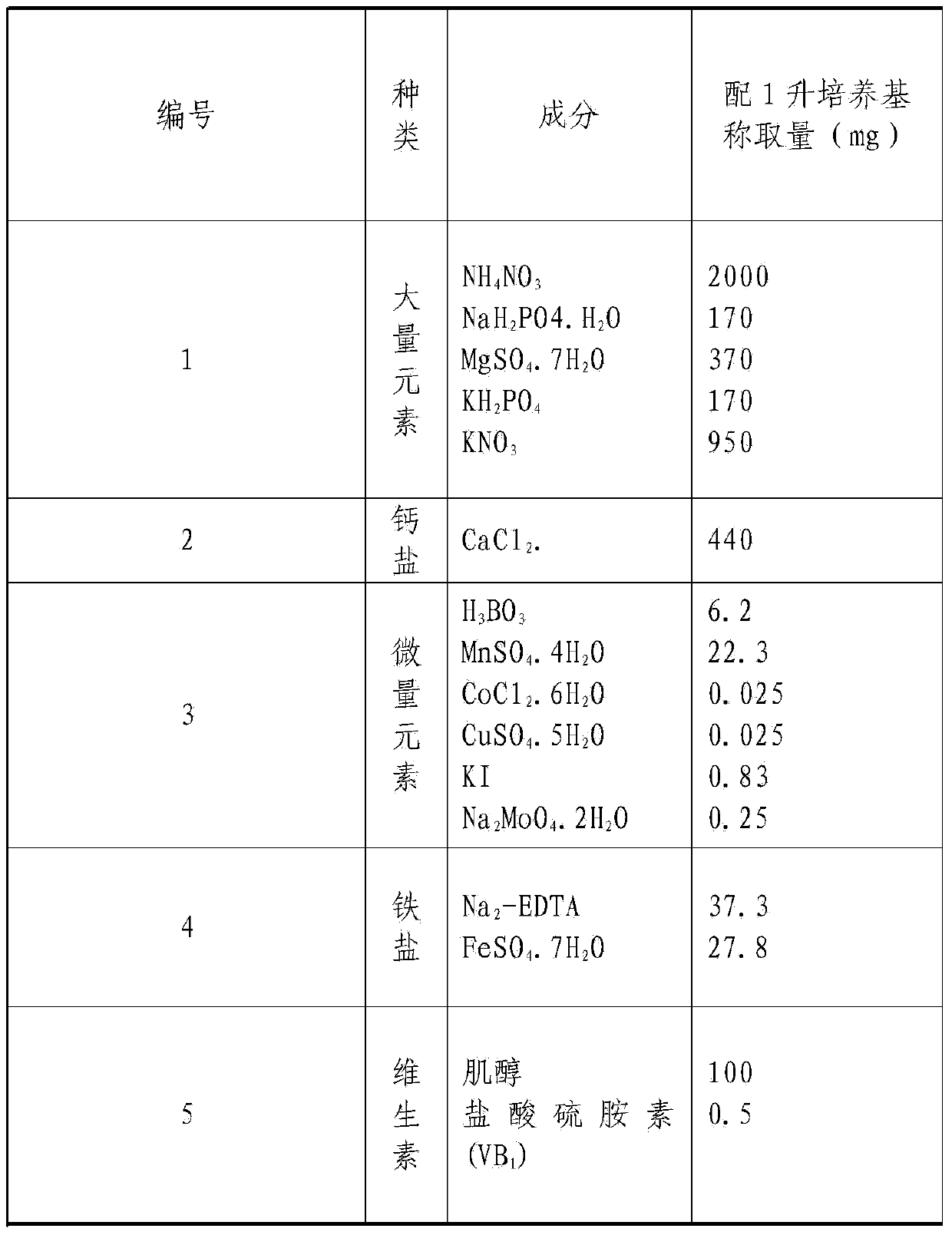 Rhododendron hybrides cosmopolitan tissue culture rapid propagation method