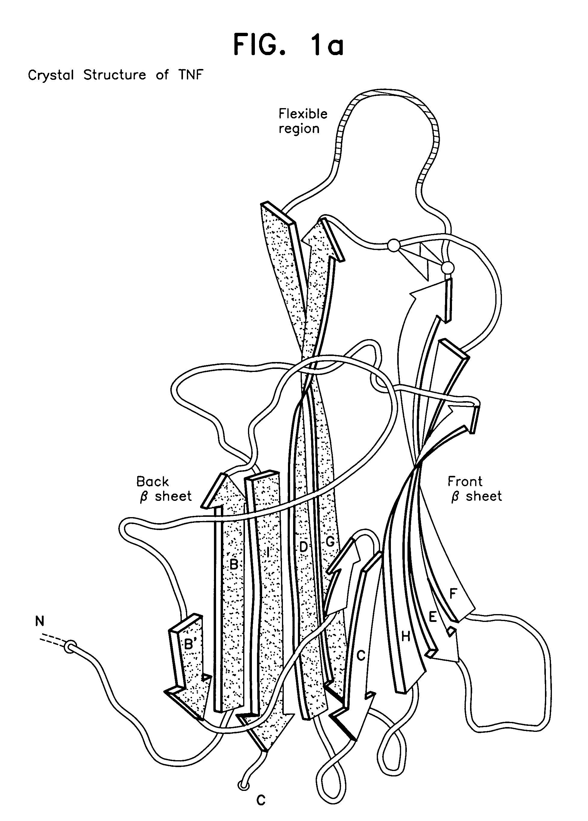 Modified TNF-alpha molecules, DNA encoding such and vaccines comprising such modified TNF-alpha and DNA