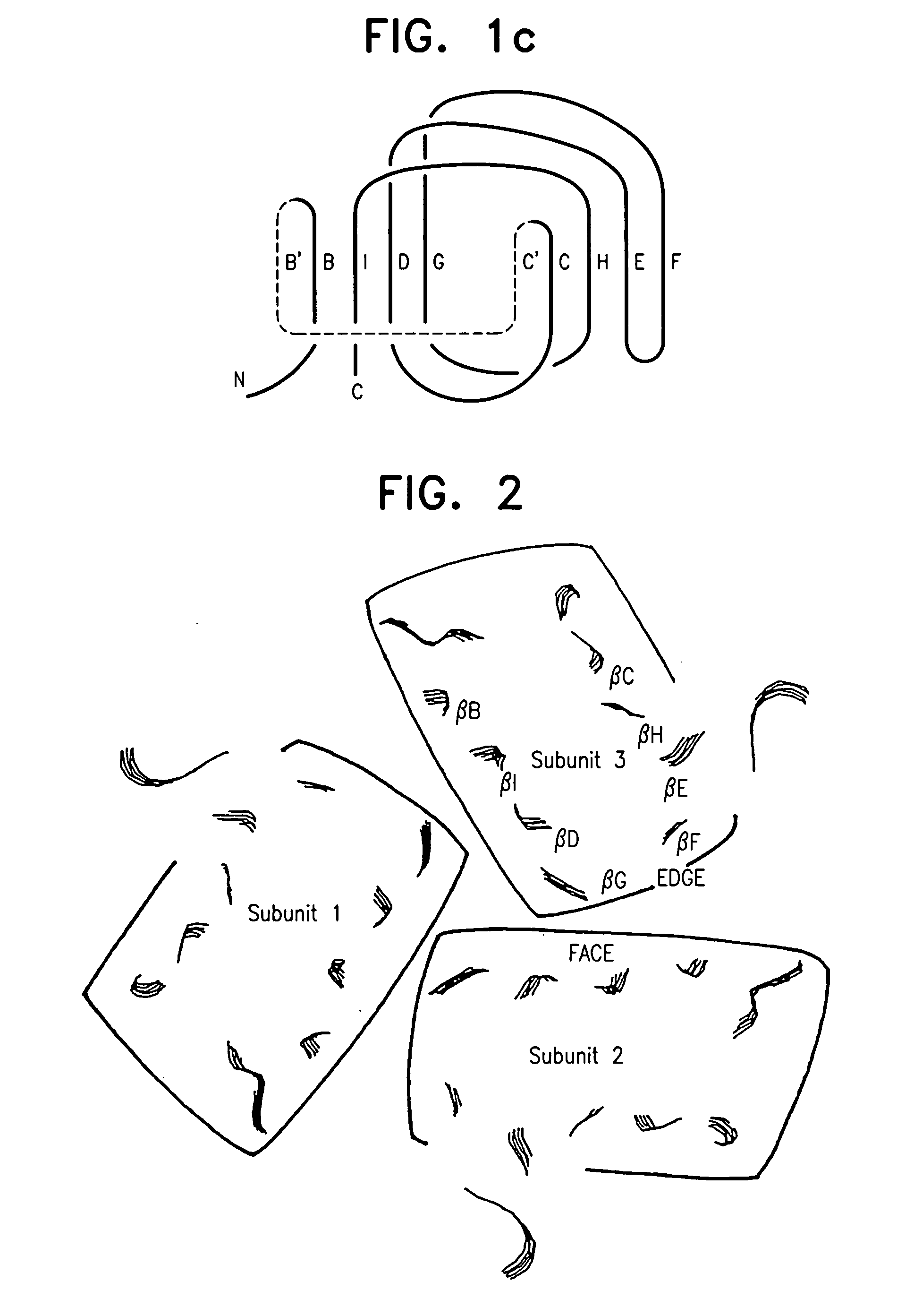 Modified TNF-alpha molecules, DNA encoding such and vaccines comprising such modified TNF-alpha and DNA