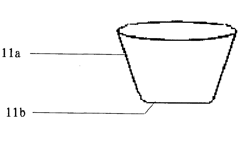 Device for operating and culturing animal embryo in vitro