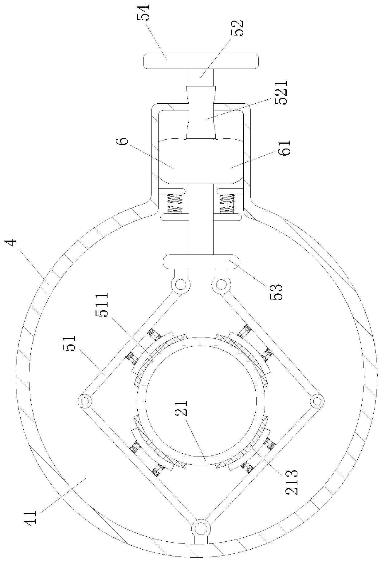 Microbiological detection bag and detection method