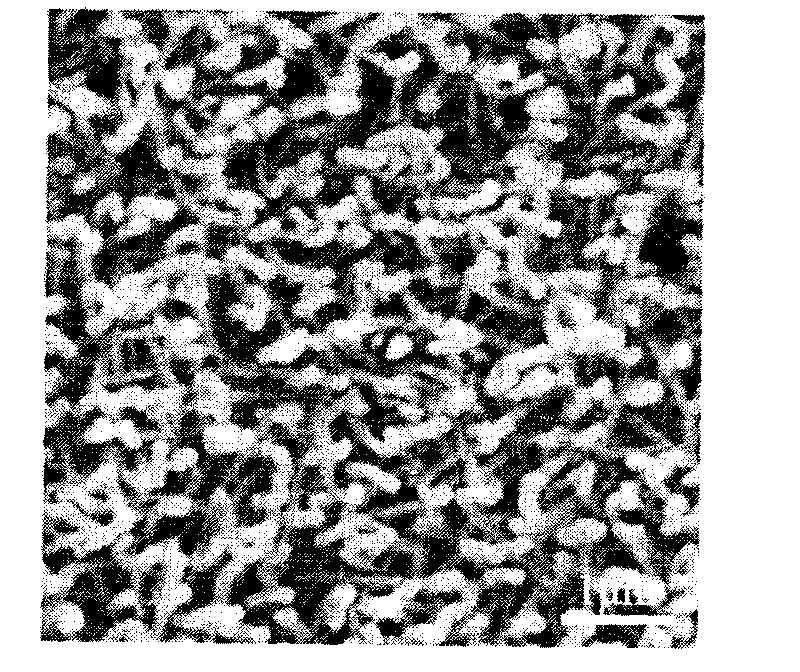 Method for growing ZnSe monocrystal nanowire