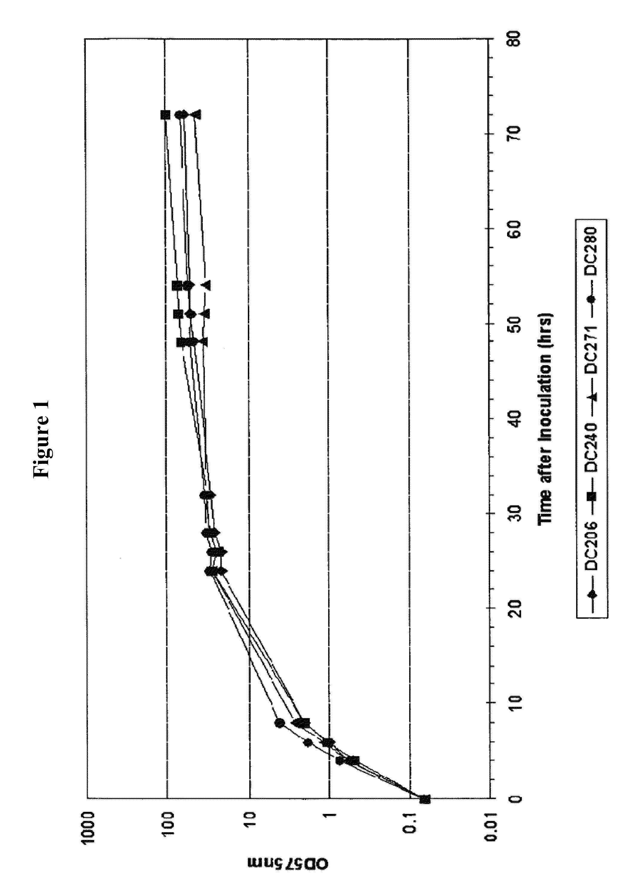 Process for improved protein expression by strain engineering