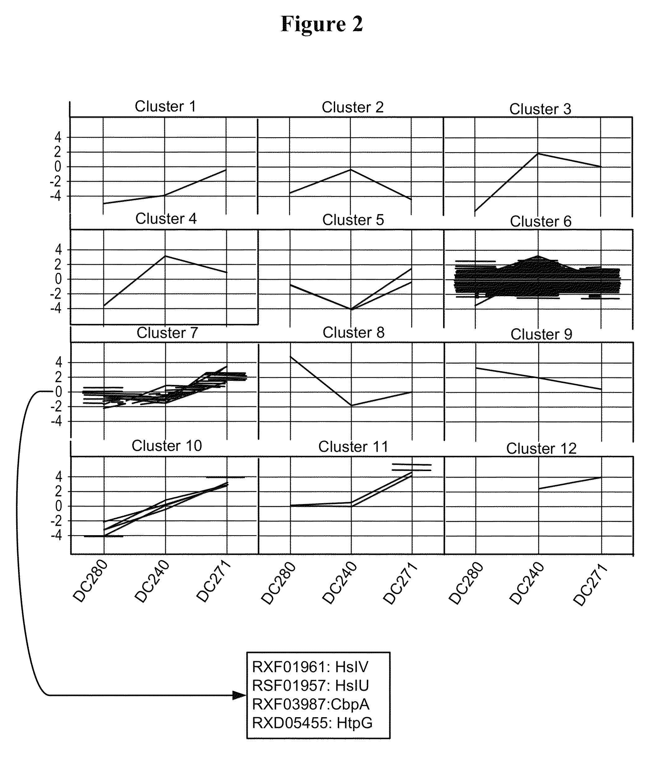 Process for improved protein expression by strain engineering