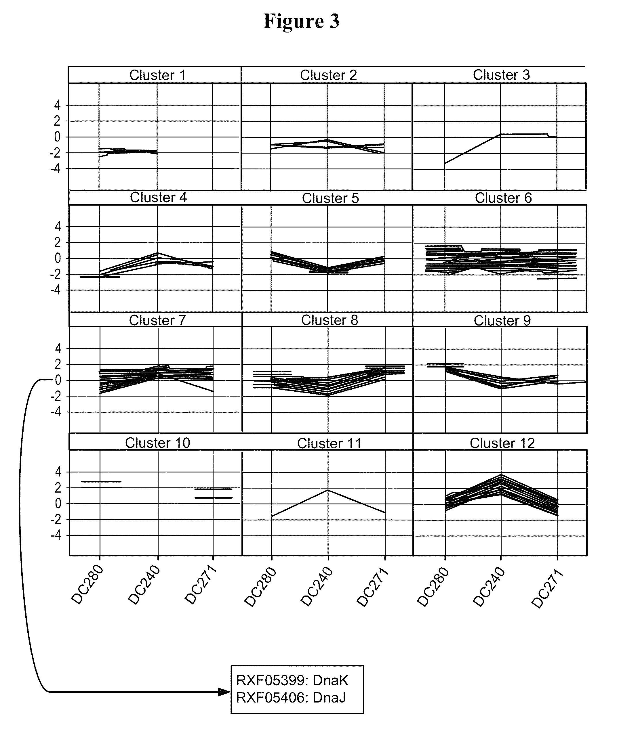 Process for improved protein expression by strain engineering