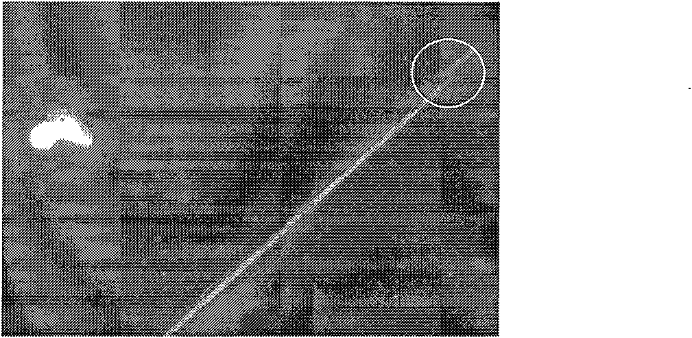 Object image coordinate error regulation device and method when spicing surface flaw detecting image