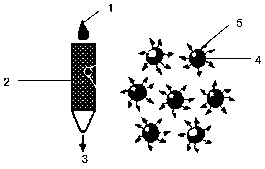 Kit for detecting trace drugs in sewage by using time-resolved fluorescence immunochromatography technology, and application of kit