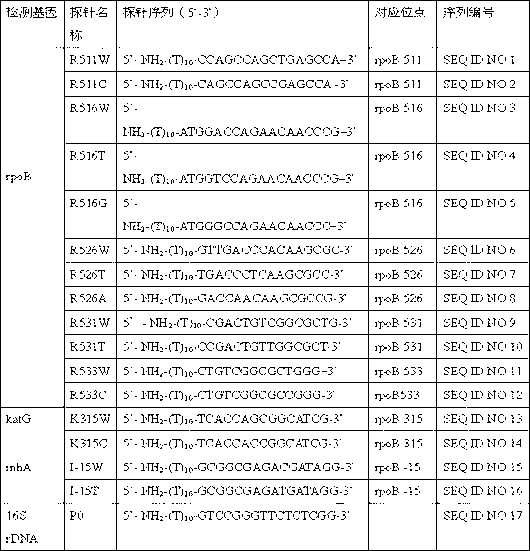 Multidrug-resistant mycobacterium tuberculosis non-fluorescent DNA (deoxyribonucleic acid) microarray detection method and kit